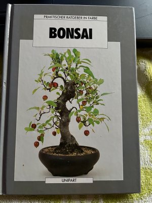 gebrauchtes Buch – Anne Swinton – Bonsai Praktischer Ratgeber in Farbe