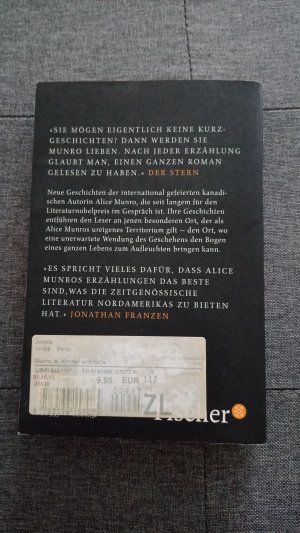 gebrauchtes Buch – Alice Munro – Himmel und Hölle - Neun Erzählungen