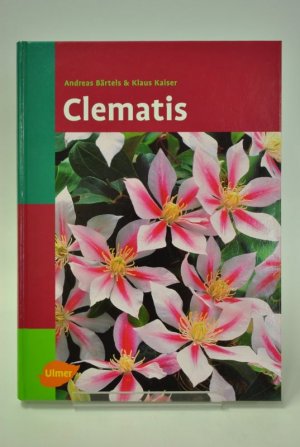 Clematis