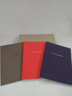 gebrauchtes Buch – Huber, Stephan; Schmidt-Wulffen – Firmament; Huber; Kummer  Werke und Anderes über die jeweiligen Künstler  Katalog zur Ausstellung "Stephan Huber / Raimund Kummer"