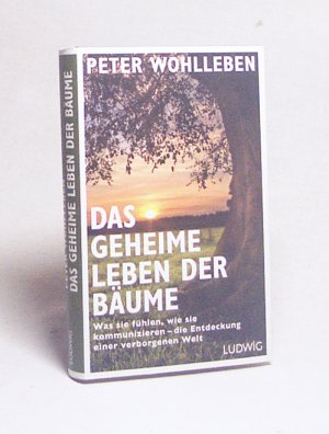 gebrauchtes Buch – Peter Wohlleben – Das geheime Leben der Bäume : was sie fühlen, wie sie kommunizieren - die Entdeckung einer verborgenen Welt / Peter Wohlleben