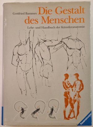 Die Gestalt des Menschen, Nachdruck der 9., überarbeiteten Auflage