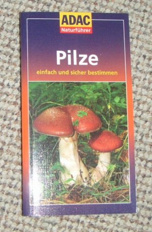 gebrauchtes Buch – Michael Eppinger – Pilze einfach und sicher bestimmen - ADAC Naturführer