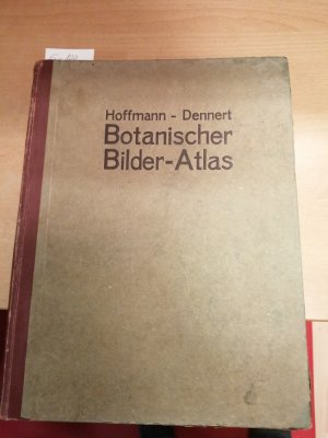 antiquarisches Buch – Hoffmann-Dennert – Botanischer Bilderatlas nach dem natürlichen Pflanzensystem