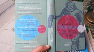 gebrauchtes Buch – Montaigne, Michel de – Von der Kunst, das Leben zu lieben