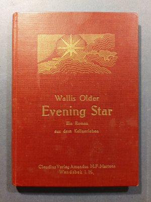 Evening Star. Ein Roman aus dem Kellnerleben