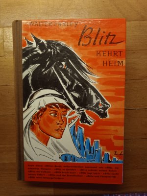 gebrauchtes Buch – Walter Farley – Blitz kehrt heim