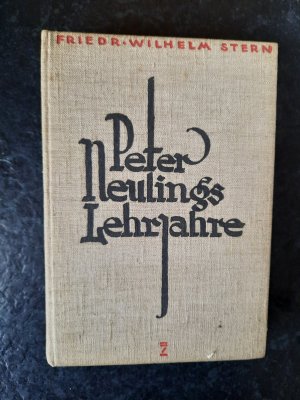 Peter Neulings Lehrjahre. Ein Buch vom kaufmännischen Wissen und Schaffen.