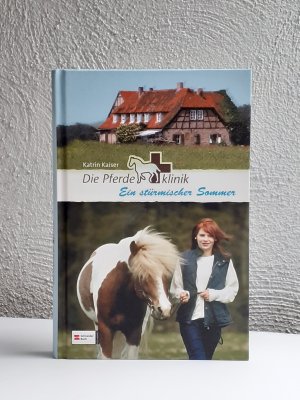 gebrauchtes Buch – Katrin Kaiser – Ein stürmischer Sommer