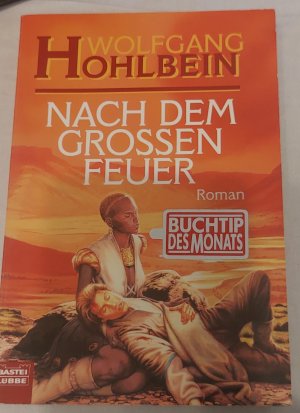 gebrauchtes Buch – Wolfgang Hohlbein – Nach dem grossen Feuer