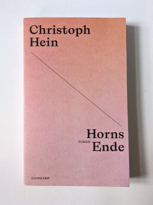 gebrauchtes Buch – Christoph Hein – Horns Ende - Roman