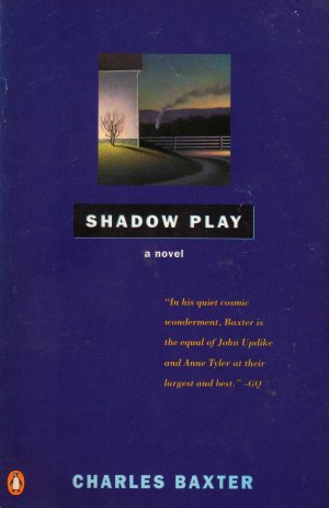 gebrauchtes Buch – Charles Baxter – Shadow Play