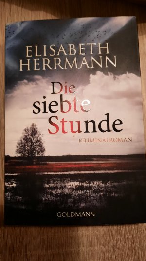 gebrauchtes Buch – Elisabeth Herrmann – Die siebte Stunde