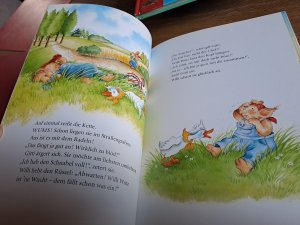 gebrauchtes Buch – Rosemarie Künzler-Behncke – Willi Wutz & Gitti Gax gehen durch dick & dünn