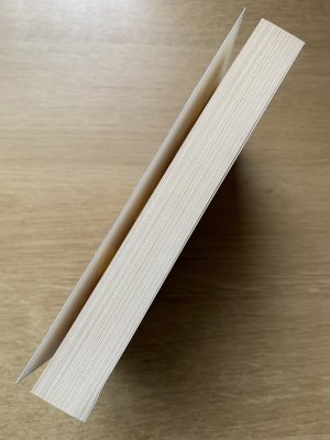 gebrauchtes Buch – Robert Betz – Willst du normal sein oder glücklich? - Aufbruch in ein neues Leben und Lieben