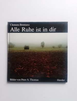 gebrauchtes Buch – Clemens Brentano – Alle Ruhe ist in dir