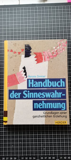 gebrauchtes Buch – Renate Zimmer – Handbuch der Sinneswahrnehmung