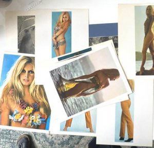 antiquarisches Buch – Brigitte Bardot – The Best Of Brigitte Bardot. Over 140 Rare Pictures you have never seen before. Exclusive!  Complete Pictorial Story of the Fabulous Sex Kitten. Collector`s Item.