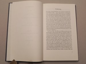 gebrauchtes Buch – Franz Blei – Briefe an Carl Schmitt 1917-1933