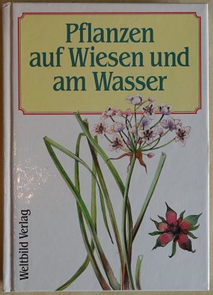 Pflanzen auf Wiesen und am Wasser