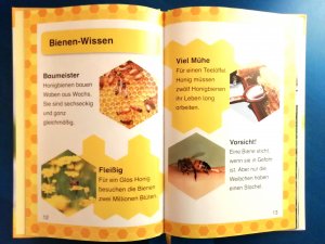 gebrauchtes Buch – Sue Unstead – Flieg los, kleine Biene!