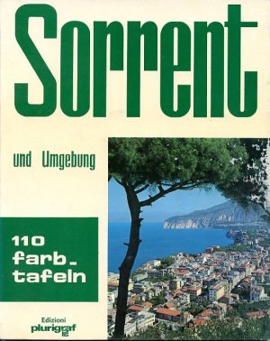 gebrauchtes Buch – Salvatore, Prof – Sorrent und Umgebung