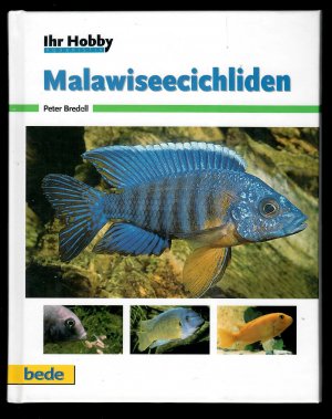 gebrauchtes Buch – Peter Bredell – Malawisee-Cichliden