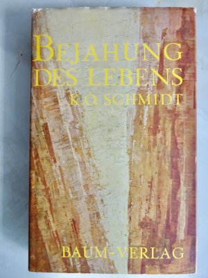 Bejahung des Lebens - Leben im Licht. 111 Hilfen zu sinnerfüllter Lebensführung