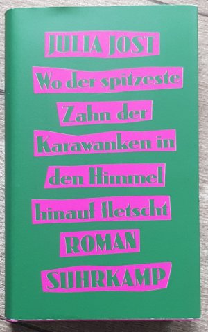 Wo der spitzeste Zahn der Karawanken in den Himmel hinauf fletscht - Roman