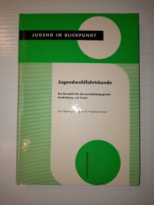 Jugendwohlfahrtskunde - Ein Grundriß für die sozialpädagogische Ausbildung und Praxis