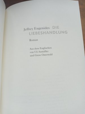 Die Liebeshandlung