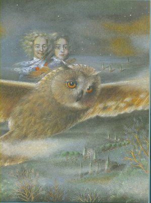 gebrauchtes Buch – Helga Höfle (Text); Rosemarie Sohn  – Der Flug mit der Eule: Ein Marionettenmärchen