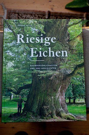 Riesige Eichen. Baumpersölichkeiten und ihre Geschichten