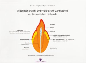 Wissenschaftlich-Embryologische Zahntabelle der Germanischen Heilkunde