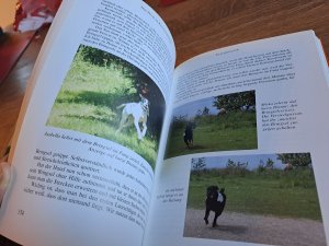 gebrauchtes Buch – Buddenbrock, Andrea von – Der Hund im Rettungsdienst