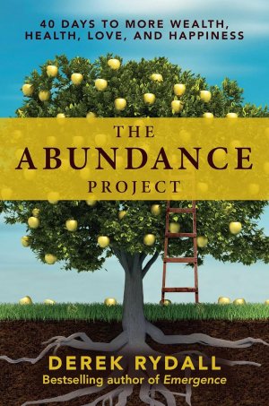 gebrauchtes Buch – Derek Rydall – The Abundance Project