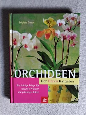 Orchideen. Der Praxis-Ratgeber