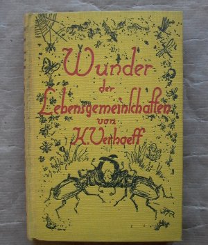 Wunder der Lebensgemeinschaften. [Wanderungen durch die Wunder der Lebensgemeinschaft.]