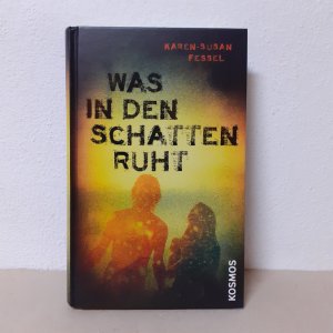 gebrauchtes Buch – Karen-Susan Fessel – Was in den Schatten ruht