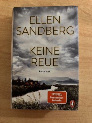 gebrauchtes Buch – Ellen Sandberg – Keine Reue - Roman