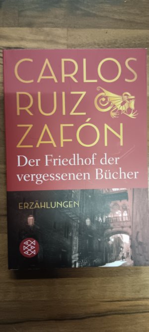 Der Friedhof der vergessenen Bücher: Erzählungen