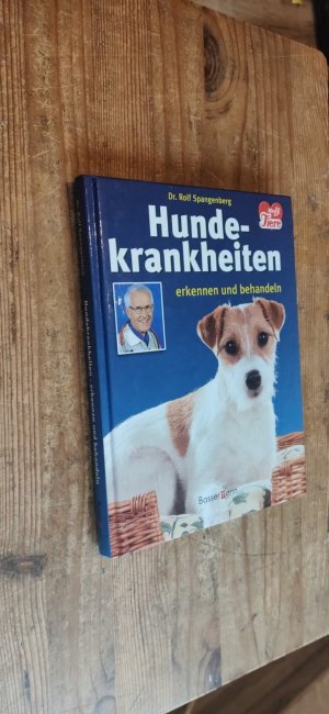 Hundekrankheiten erkennen und behandeln