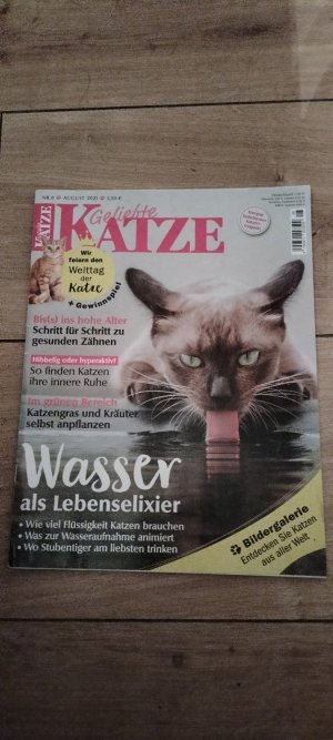 gebrauchtes Buch – Diverse – Geliebte KATZE  August 2021