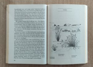 gebrauchtes Buch – Jane Bendix – Die Türkishöhle