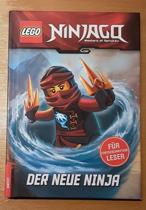 gebrauchtes Buch – Meredith Rusu – Der neue Ninja - Mit Einführung und Glossar - - Eine Abenteuergeschichte in 9 Kapiteln