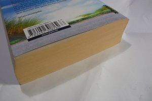 gebrauchtes Buch – Gisa Pauly – Vogelkoje - Ein Sylt-Krimi