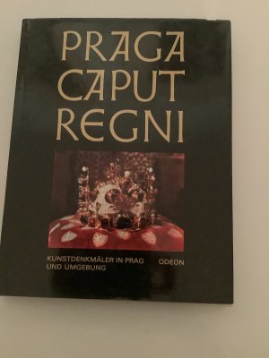 gebrauchtes Buch – Neubert, Karel / Royt – Praga caput regni : Kunstdenkmäler in Prag und Umgebung / Karel Neubert ; Jan Royt. [Übers. Anita Pelánová. Verantw. Red. Dana Mikulejská]