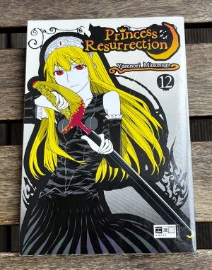 Princess Resurrection 12