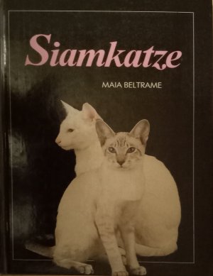 gebrauchtes Buch – Maia Beltrame – Siamkatze