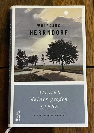 gebrauchtes Buch – Wolfgang Herrndorf – Bilder deiner großen Liebe - Ein unvollendeter Roman